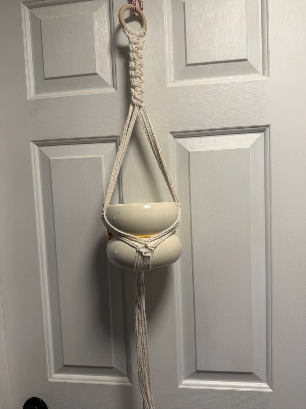 Hanging Macramé Plant Holder